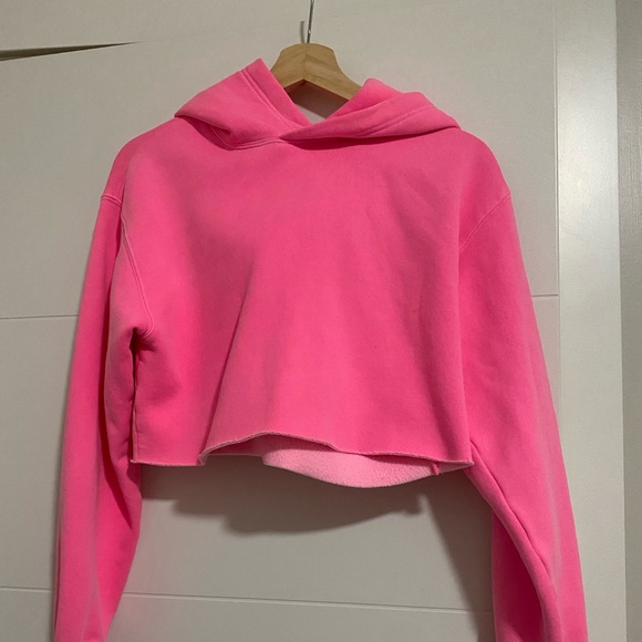 Aritzia Sweaters - The perfect crop hoodie light